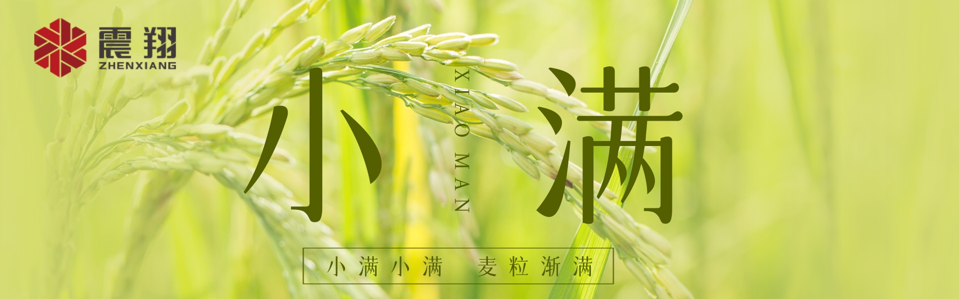 小滿|???????小滿小滿，江河漸滿。